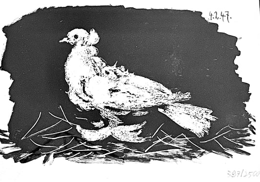 Picasso Pigeon Blanc Fond Noir Lithograph
