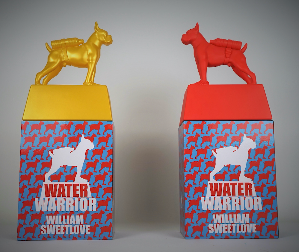 William Sweetlove Water Warrior